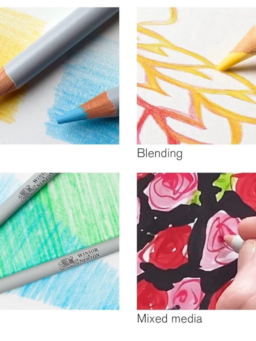 Winsor & Newton rich vibrant